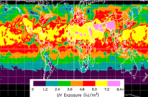 Este mapa global de la exposición UV eritematosa fue elaborado por los instrumentos de TOMS el 20 de junio de 2.000.