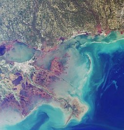 Esta imagen de satlite de colores retocados del delta del Mississippi, fue capturada por el Visor del Espectroradimetro Multiangular a bordo del satlite Terra de la NASA. <A HREF= http://visibleearth.nasa.gov/cgi-bin/viewrecord?11323 target=_blank>[ms]</A>