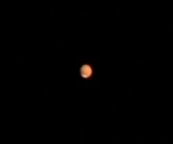 Así apareció Marte a través del objetivo de un telescopio de 8” el 11 de junio. Imagen cortesía de: Ron Wayman de Tampa, FL.