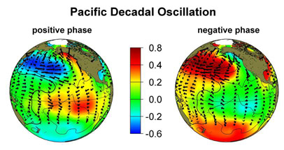 Los colores de esos mapas representan anomalas en la temperatura  diferenciadas de la temperatura de la superficie marina media durante las fases clida y fra de la PDO. <A HREF= http://topex-www.jpl.nasa.gov/science/pdo.html target=_blank>[ms]</A>
