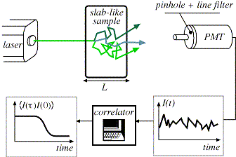 Diagrama esquemático de la <A HREF=http://www.physics.ucla.edu/~dws/light.html target=_blank>espectroscopia de onda difusa</A>