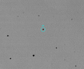 La luz remanente de la explosin del 29 de marzo de 2003 de magnitud 13, fue fotografiada desde el centro intensamente iluminado de Tokio, Japn.<A HREF=http://www.hp.phys.titech.ac.jp/nkawai/030329/index_e.html target=_blank>[ms]</A>
