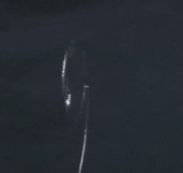 Pettit agita una increiblemente sólida película de agua a bordo de la ISS. Observa la película completa: <A HREF= http://science.nasa.gov/headlines/y2003/images/nosoap/exp6gmt027a.qt target=_blank>Corte 1</A>, <A HREF= http://science.nasa.gov/headlines/y2003/images/nosoap/exp6gmt027b.qt target=_blank>Corte 2</A>