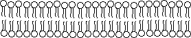 Molculas de fosfolpido se unen entre s por los extremos formando una membrana de doble capa. <A HREF= http://www.jdaross.mcmail.com/cell2.htm target=_blank>[ms]</A>
