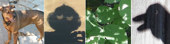 Lectores de Science@NASA tomaron estas imgenes rayos con formas de media luna durante un eclipse solar parcial el 10 de Junio de 2002. <A HREF= http://science.nasa.gov/spaceweather/eclipses/gallery_10june02.html target=_blank>[ms]</A>
