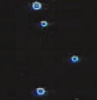 Pequeas bolas de fuego fotografiadas a bordo de la lanzadera espacial Columbia en 1997. <A HREF= http://science.msfc.nasa.gov/headlines/y2002/21aug_flameballs.htm target=_blank>[ms]</A>