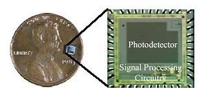 El circuito integrado microluminmetro. Tamao real 2 x 2 mm. [<A HREF= http://www.ceb.utk.edu/bioprimer.pdf target=_blank>Ms</A>] 