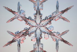 Un copo de nieve de Wisconsin, capturado y fotografiado por K. Libbrecht y P. Rasmussen. [<A HREF= http://www.its.caltech.edu/%7Eatomic/snowcrystals/photos/photos.htm target=_blank>Ms</A>]