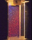 Un coloide a bordo de la estacin espacial Mir, fotografiado en 1998. El nombre del experimento era BCAT-2. [<A HREF= http://microgravity.grc.nasa.gov/expr4/bcat.htm target=_blank>Ms</A>]