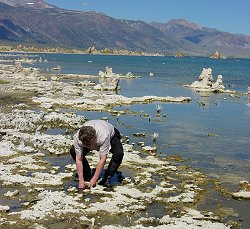 Richard Hoover recoge muestras del lodo en el Lago Mono [<A HREF= http://science.nasa.gov/headlines/y2004/images/ecosystem/atmonolake1.jpg target=_blank>Agrandar imagen</A>] 