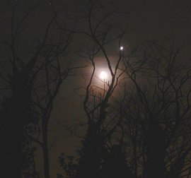 Venus y la Luna brillan a través de algunos árboles en Brittany, Francia. Crédito de la foto: Laurent Laveder