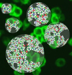Imgenes generadas por ordenador de nanopartculas. 
<i>Imagen cortesa del Centro de Nanotecnologa Biolgica  (Center for Biologic Nanotechnology), Universidad de Michigan-Ann Arbor.[<a href=http://nano.med.umich.edu/Dendrimers.html target=_blank><u>Ms</a></u>]</i>.
