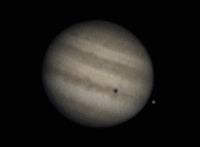 Utilizando un telescopio de 8 pulgadas y una cmara web digital, el astrnomo amateur Sande Klieverik de Holanda rod este lapso de pelcula de Jpiter el 16 de abril. Fjate en Io y Europa proyectando sus sombras a lo largo de las nubes de Jpiter. La Gran Mancha Roja gira desde el principio hasta casi el final. [<A HREF= http://science.nasa.gov/headlines/y2004/images/planets2/Klieverik1.gif target=_blank>Pelcula ms extensa</A>]