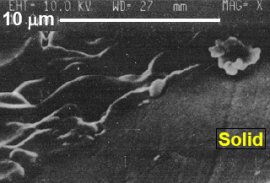 Una fotografa microscpica de arena lunar fundido con microondas [<a href="http://www.lpi.usra.edu/lunar_knowledge/LTaylor.pdf">Ms</A>]