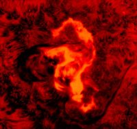 Una de las llamaradas solares de agosto del 1972. Haz clic para ver una <a href=http://science.msfc.nasa.gov/ssl/pad/solar/images/seahorse.mpg target=_blank><u>pelcula mpeg de 2-MB</u></a> de la explosin, la cual es llamada por los fsicos solares como "la llamarada del caballo solar." [<a href=http://science.msfc.nasa.gov/ssl/pad/solar/flares.htm target=_blank><u>Ms</u></a>] 