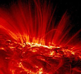 Esta imagen en ultravioleta de una mancha solar tomada por la aeronave TRACE de la NASA revela el complicado campo magntico de la regin.  
[<a href= http://antwrp.gsfc.nasa.gov/apod/ap041010.html target=_blank><u>Ms informacin</u></a>]
