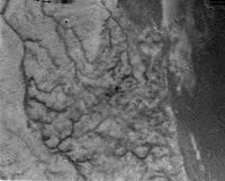 Desde una altura de 16 kilmetros, la Huygens fotografi estos canales de drenaje que conduce a una orilla de playa. [<A HREF=http://www.esa.int/esaCP/SEMBQO71Y3E_index_0.html target=_blank>Ms</A>]