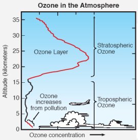 La capa de ozono est situada a 15 Km. por encima de la superficie de la Tierra. 
[<a href=http://science.nasa.gov/headlines/y2006/images/ozone/20questions.pdf target=_blank>Ms informacin</a>]
