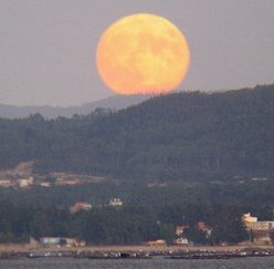 <a href=http://science.nasa.gov/headlines/y2006/images/strangemoonlight/Eirexas.jpg target=_blank>La luna de la cosecha de 2005</a>. Crdito de la foto: Sr. Fins Eirexas de Pobra do Caramial, Galicia, Espaa.