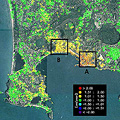 Mapa de la anomala del rea de los campos