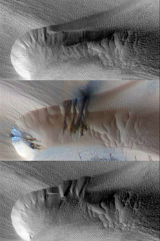 Sand avalanches in martian dune