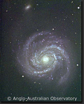 M_100