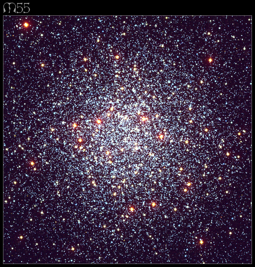 M55