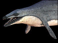 ”Basilosaurio”