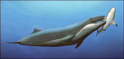 Paleoballena
