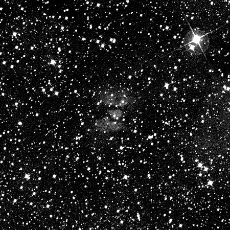 Circinus_in_visible_light
