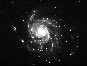 M 101