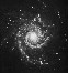 M 74