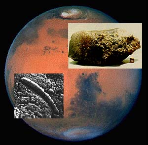 El meteorito de AllanHills (ALH 84001) descubierto por AMNSET, es considerado originario de Marte. Un posible microfsil hallado en una muestra del meteorito mide menos de 1/100 del ancho de un cabello humano.