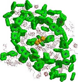 el complejo mapa de las posiciones atmicas de una molcula de Photosystem I, del Brookhaven National Laboratory Protein Databank (Banco de Datos de Protenas del Laboratorio Nacional de Brookhaven), y del Image Library of Biological Macromolecules (Libreria de imagenes de Macromolculas Biolgicas), Jena, Alemania.