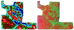 Cosecha (izquierda) comparada con una imagen de teledeteccin dos meses antes (derecha). El rojo indica mayores cosechas; los azules y verdes, cosechas ms bajas. Enlace a un <a href=http://science.nasa.gov/newhome/headlines/images/precag/L7YieldF1_71.jpg target=_blank><u>JPG de 1215x501 pxeles, 115Kb</u></a>. 
<i>Crdito: NASA/Marschall y GHCC.</i>
