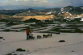 Phillips y su equipo, un trineo tirado por seis perros, aproximndose a una lnea de nieve cercana a los 3657,6 m de altura, en un tempestuoso da de primavera en White Mountain. Crditos de Fotografa: Paul King, BBC Misterios de la Ciencia.