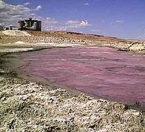 Cerca de la costa del lago Owens, California. La coloración rosa está causada por bacterias halofílicas (atraídas por la sal) viviendo en una fina capa de lodo en la superficie del lecho del lago. El material blanco brillante en primer plano es sosa (carbonato sódico), depositada como resultado de la evaporación de las charcas de la fábrica de Plate Glass de Pittsburgh que se ve al fondo. La fábrica de vidrio plano ya no está en funcionamiento. <a href=http://science.nasa.gov/newhome/headlines/msad17sep98_1.htm target=_blank>Historia relacionada</a> y <a href=http://science.nasa.gov/newhome/headlines/lms/owenslake.htm target=_blank>más imágenes de las halobacterias en el lago Owens</a>.