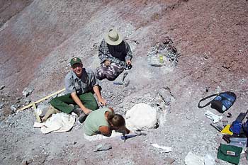 Revueltosaurus_quarry