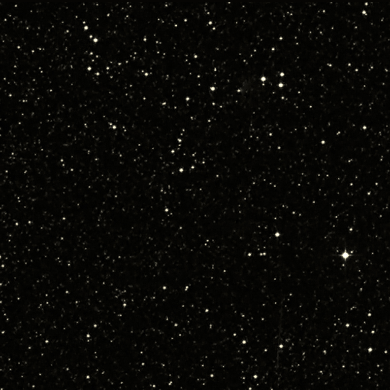 G292.0+1.8