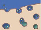 Nanopartculas.
